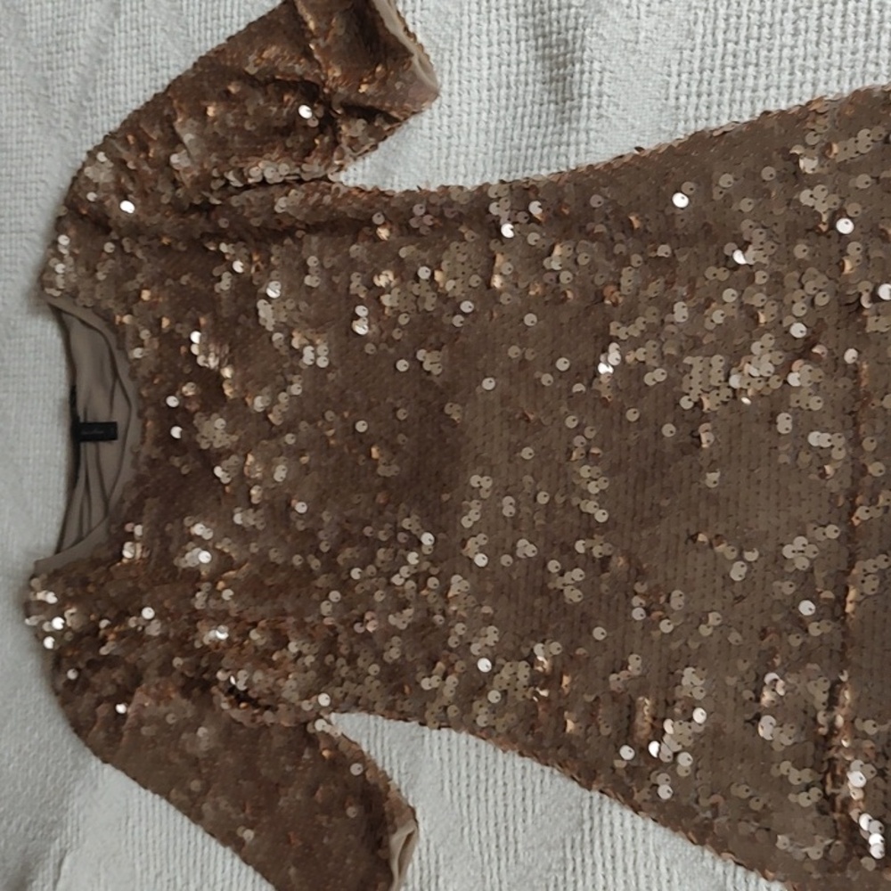 BCBG Maxazaria Fitted Mesh And Sequin Dress - Picture 7 of 9
